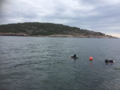 14/7 Öland - Två dyk med förlängt ytintervall Blå jungfrun - Bild 4